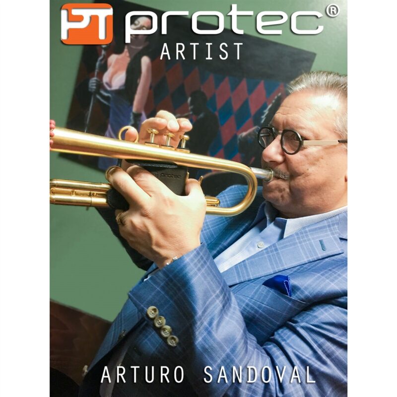 Protector Protec de válvula de trompeta - Cuero, 6 puntas - Imagen 5