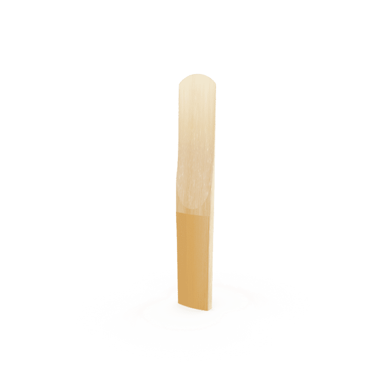 Caña D'Addario Classic Organic Reserve Para Clarinete Bb - Imagen 6